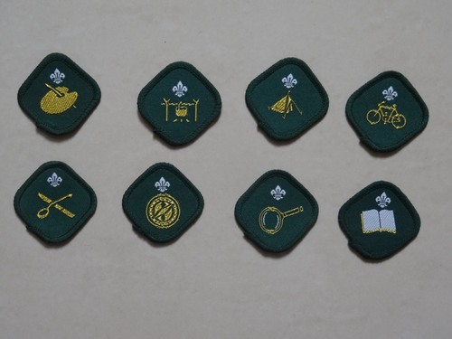 Scout proficiency badges - proficiency,