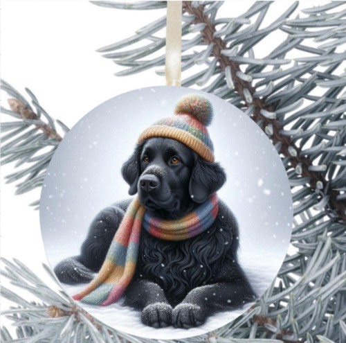 Flat coated retriever dog - flat,