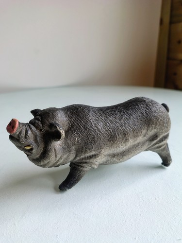 Pot bellied pig farm - pig,
