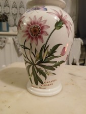 Portmeirion Botanical Garden