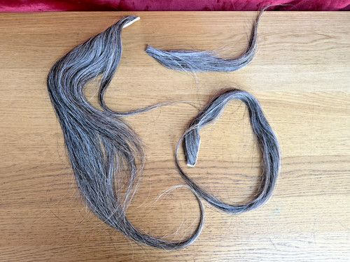 Rocking horse hair - hair, restore