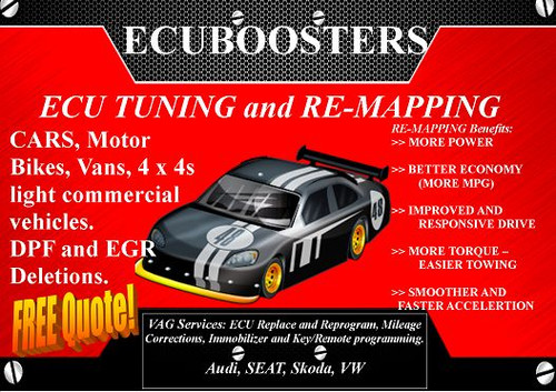 Seat remap ecu - remap,