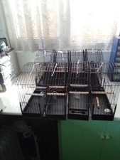 Fife Canary Training Cages