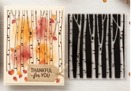 Clear stamp birch - x,