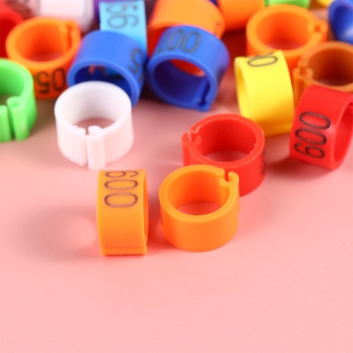 100 pcs 10mm pigeon - pcs,