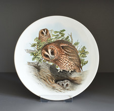 Poole Pottery Tawny Owl