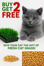 1250 Organic Cat Oat Grass  Pets Love it~ BUY 2 GET 2 FREE/BUY3 GET 4 FREE
