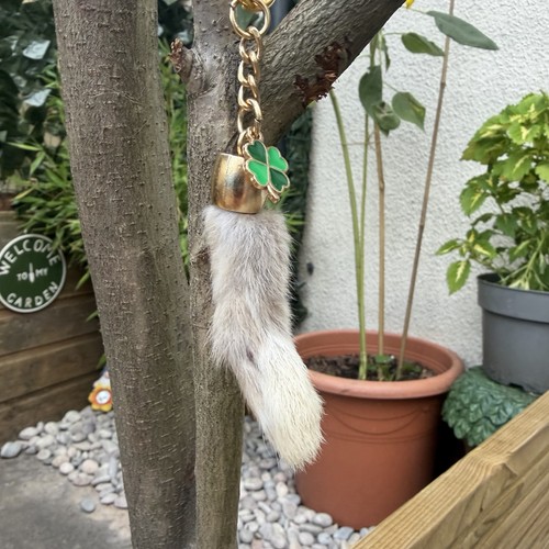Real lucky rabbits - rabbits, foot