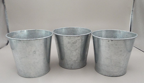 Cm silver colour plant - silver,