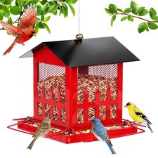 Bird Feeder, Large Bird