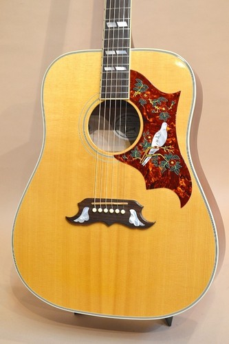 Gibson dove 2008 - gibson,