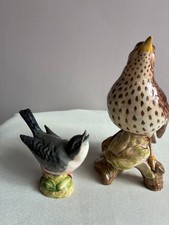 Beswick  birds   Song thrush
