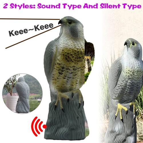 Realistic bird scarer eagle - scarer,