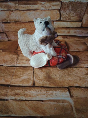 West highland terrier - west, (westie)