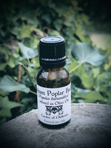 Balsam poplar infused oil 15ml - infused,