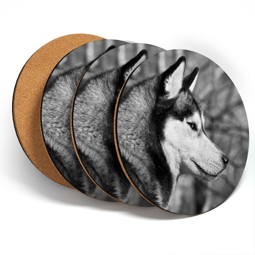 Coasters bw siberian - coasters,