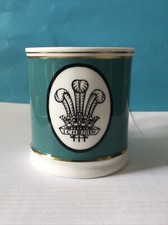 Prince Of Wales Investiture