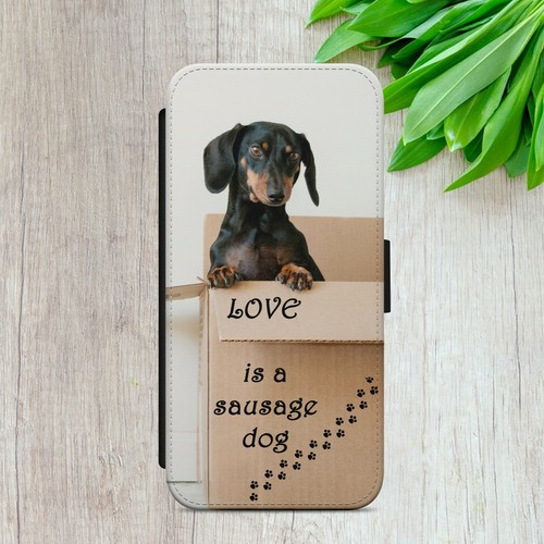 Sausage dog dachshund fun - fun, flip