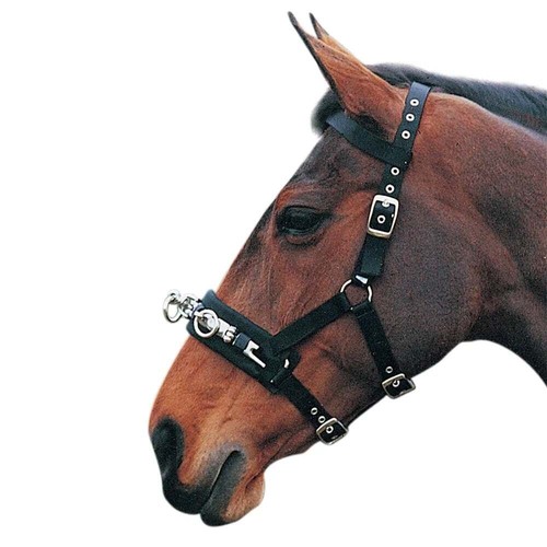 Equestrian lunge cavesson - hy,