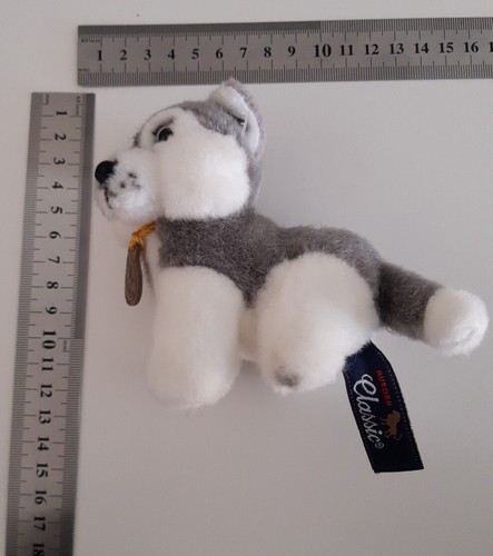 Aurora classic husky puppy - aurora,