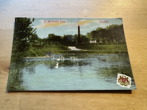 Postcard the duthie park - in,