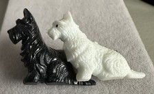 Scottish Terrier & West