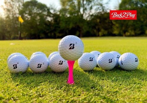 12x bridgestone lake golf - e6,