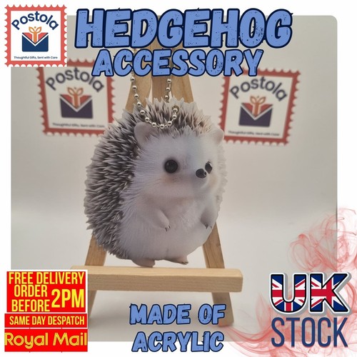 Cute hedgehog acrylic - acrylic, hanging