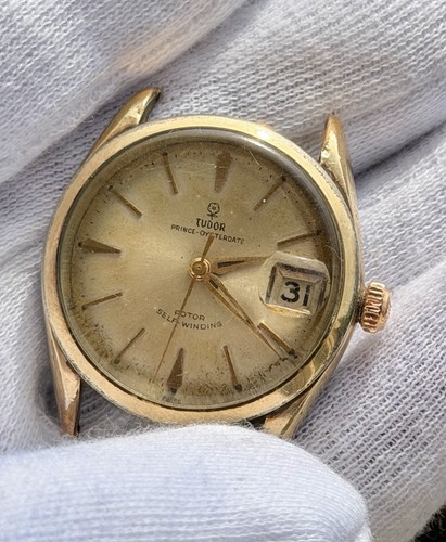 Tudor rose prince oysterdate - tudor,