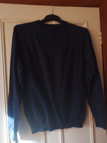 Men navy blue striped jumper - blue,