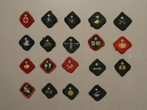 Scout proficiency badges - scout,