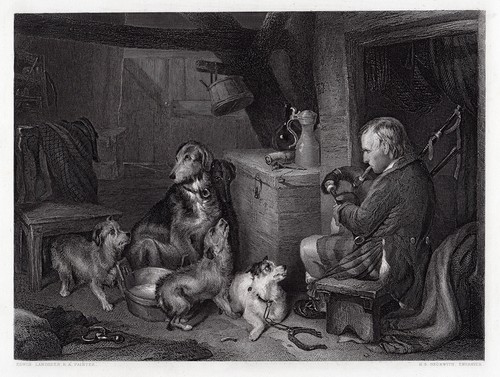 Signed 1800s edwin landseer - signed,