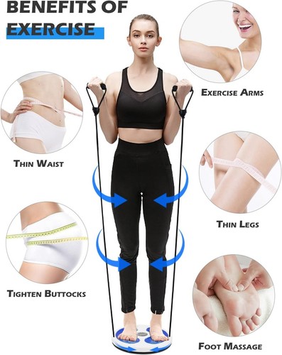 Waist twist disc balance board - balance,