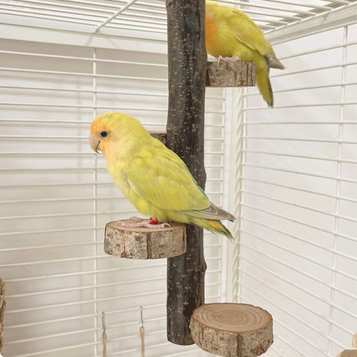Wooden bird perch stand - wooden,