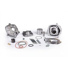Malossi Thermal Group D 50