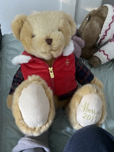 Harrods christmas bertie bear - christmas,