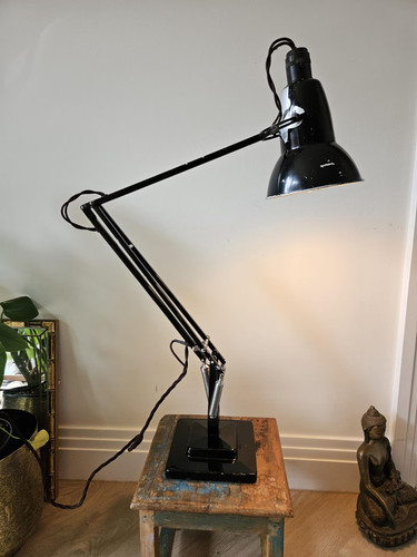 Black herbert terry anglepoise - black,