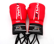 RIVAL Boxing RS60 2.0 Workout