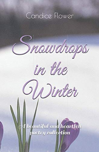 Snowdrops the winter - the,