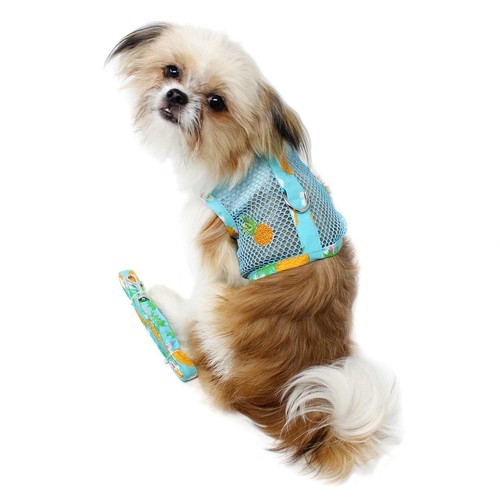 Dog harness leash - dog,