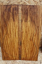 CURLY NARRA electric / bass