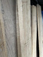 American white oak
