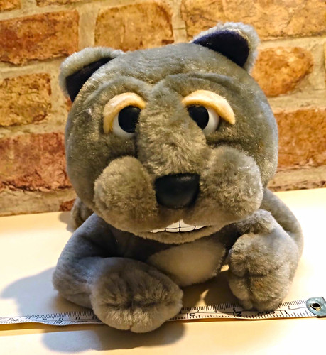 Creature comforts carol - comforts, cat
