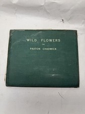 Wild Flowers Paxton Chadwick