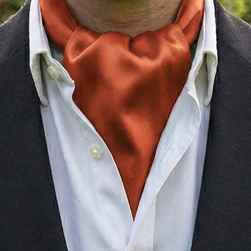 Burnt orange ascot cravat - orange,