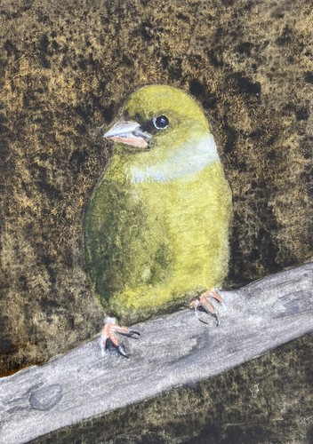Original watercolour - original,