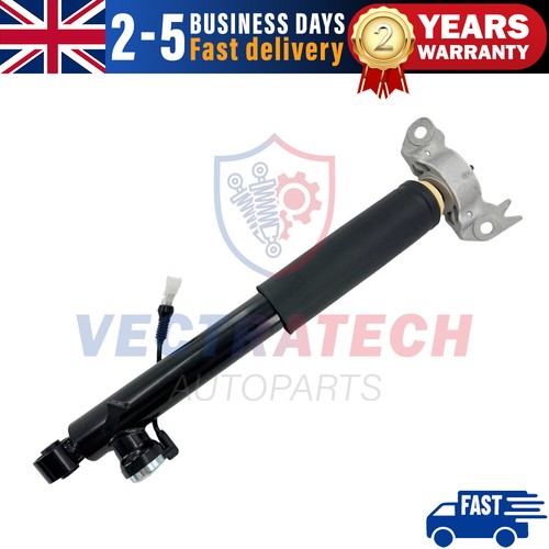 Rear left shock absorber - absorber, strut