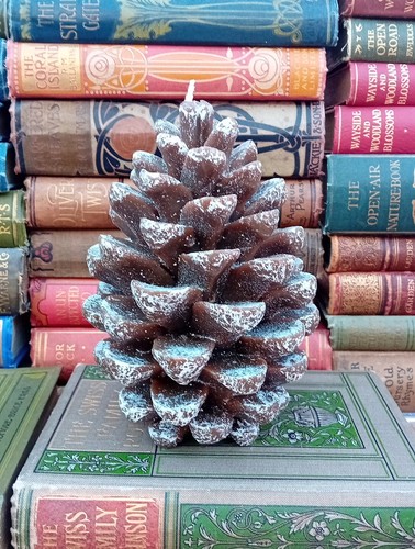 Vintage large pine tree - vintage,