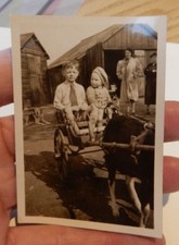 GOAT CART KIDS FUN  ORIGINAL PRIVATE PHOTOGRAPH  1947 ERA   6 x 9 cm b