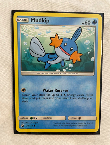 Mudkip celestial storm - mudkip,